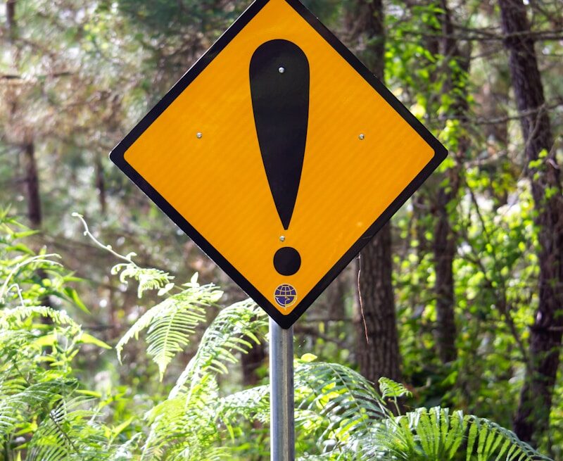 yellow and black road sign