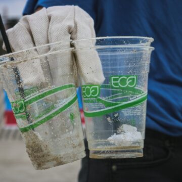 person holding two clear plastic disposable cups